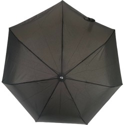 small black umbrella with cane