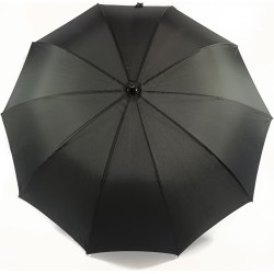 long black umbrella with cane