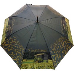 Long umbrella art...