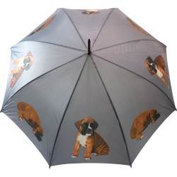 Long umbrella AC Boxer dogs