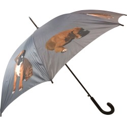 Long umbrella AC Boxer dogs