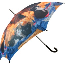 Long parapluie AC chatons