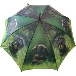 Long parapluie AC chiots