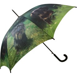 Long parapluie AC chiots