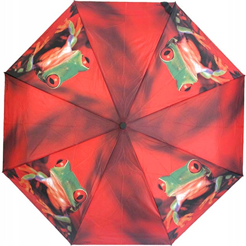 magic mini art collection small umbrella with frog