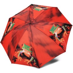 Small magic umbrella mini...