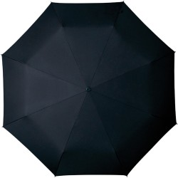 black umbrella with cane