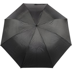 small black umbrella with cane